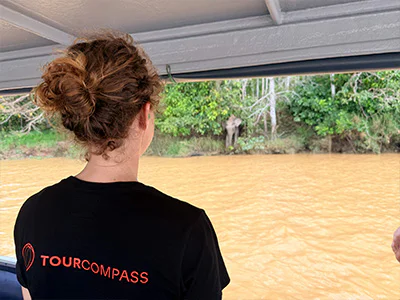 Jude fra TourCompass ser på elefanter ved Kinabatangan-elven