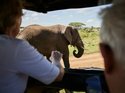 To personer ser på en elefant fra en safaribil