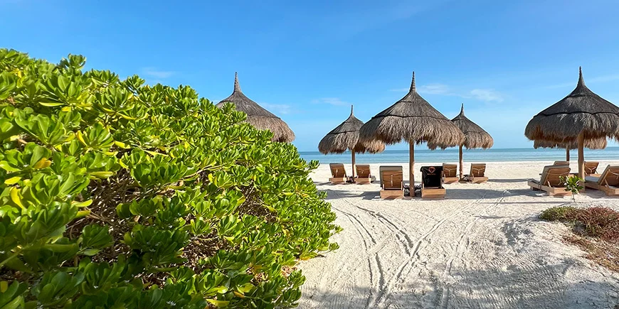 Strandstoler med utsikt på Isla Holbox