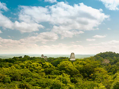 Oversikt over Tikal nasjonalpark med ruiner og regnskog