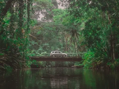 En bil kjører gjennom jungelen i Costa Rica