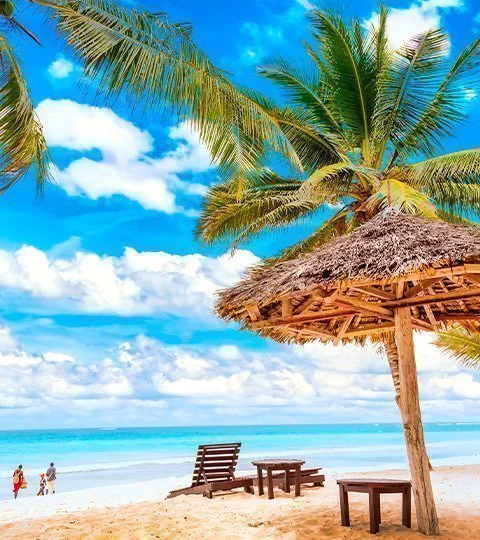 Tropisk strand i Mombasa med palmer og turkisblått hav