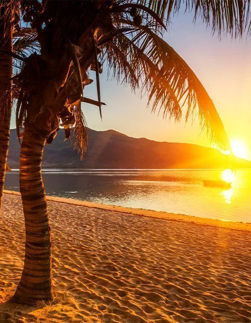 Vakker palmestrand på Mauritius ved solnedgang