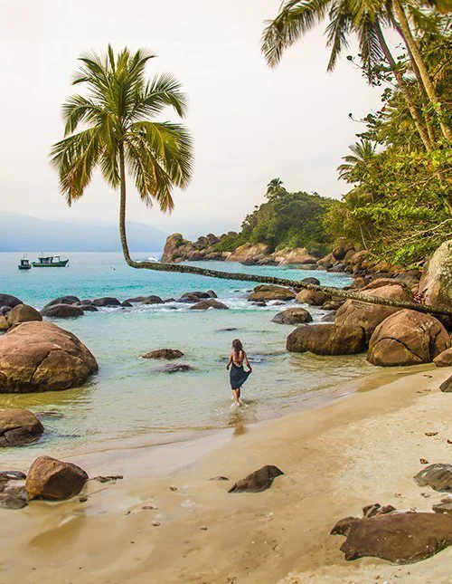 Vakker strand med bøyd palmetre på Ilha Grande