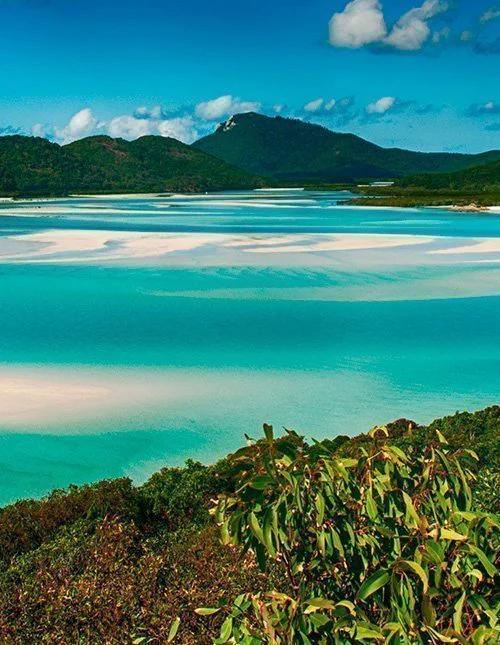 Whitehaven Beach-lagunen i nasjonalparken i Queensland